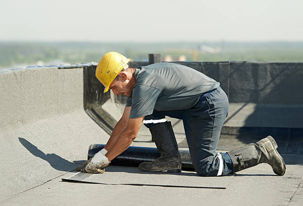 Best Commercial Insulation in Watkinsville, GA